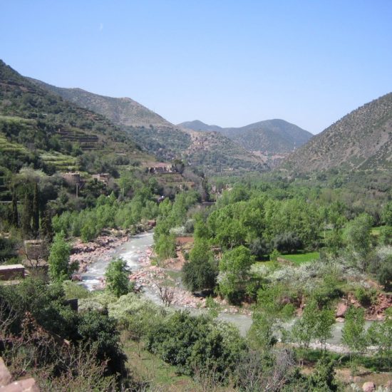 1 Day Trip To Ourika Valley From Marrakech