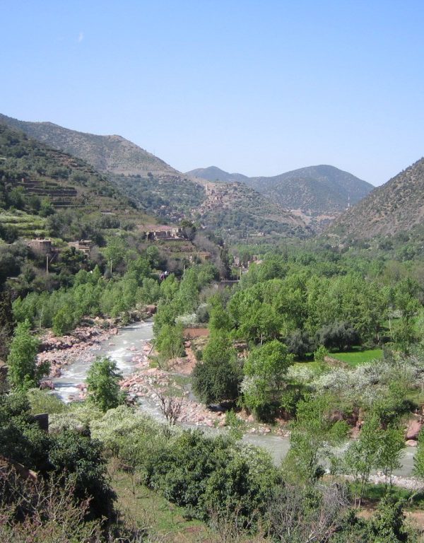 1 Day Trip To Ourika Valley From Marrakech