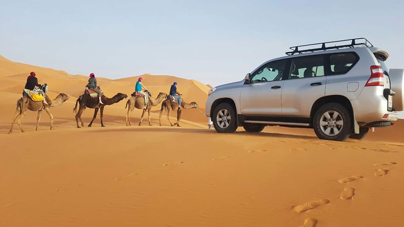 Tour 5 Days Sahara Desert Tour from Fes to Marrakech - Morocco First Gate